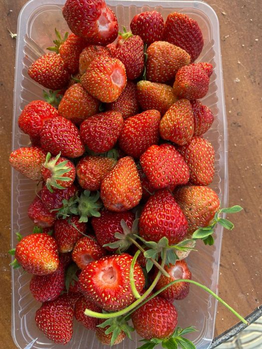 Дача в черте города Актау.