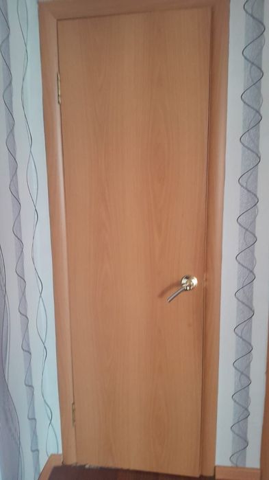 Продам одну дверь 60