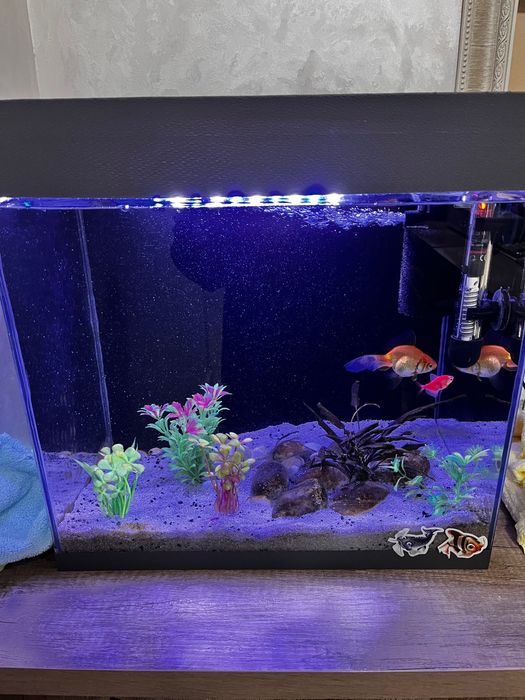 Аквариум для рыб или растений