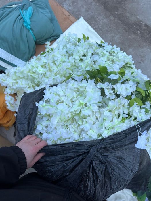 цветы для оформления