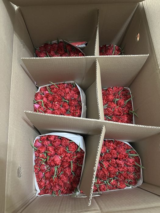 Тюльпаны букеты клубника в шоколаде Астана