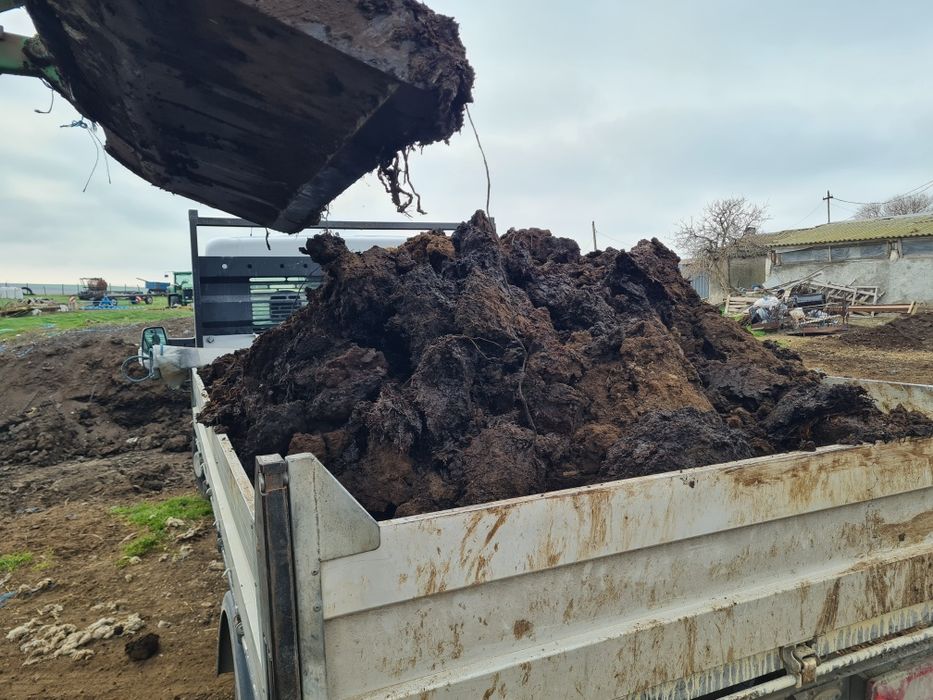 Mranita ingrasamant rasaduri