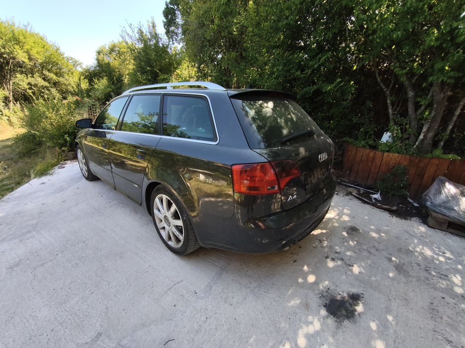 Audi A4 B7 S-line 2.0 170 BRD (на части)