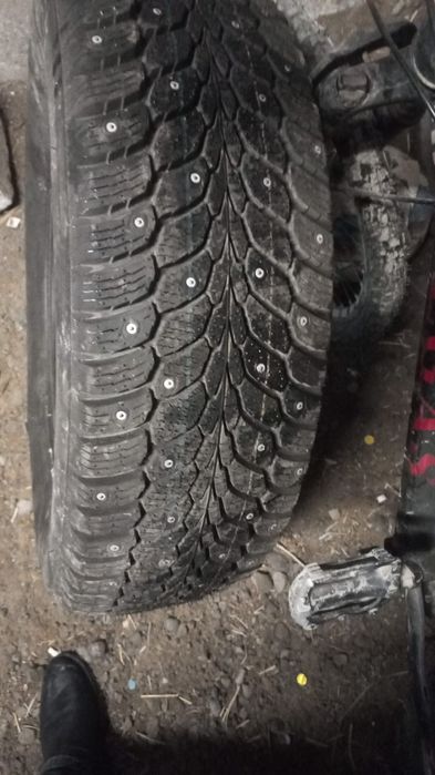 Шина новая шипованная