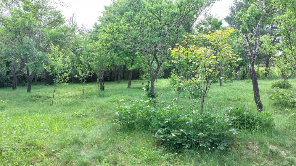 Продава се Парцел в с. Егълница, Област Перник - 1187 кв.м за 27 €/кв.м - Снимка #12