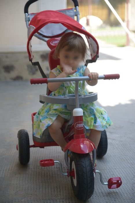 Tricicleta copii Radio Flyer Ultimate All-Terrain Stroll 'N Trike