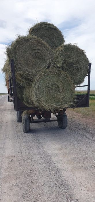 Сено отличного качества