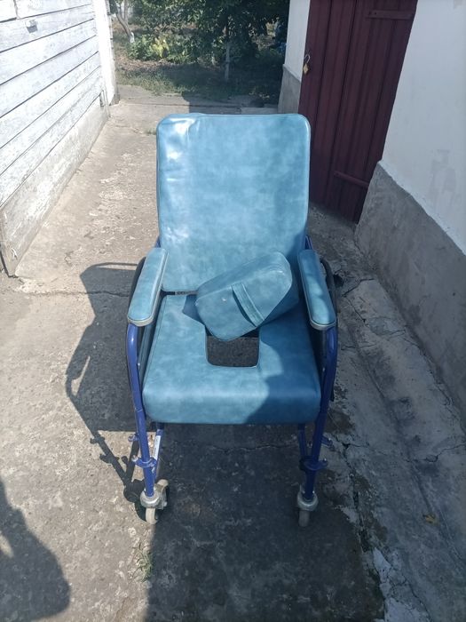 Carucior  dubla folosire (wc si plimbat )