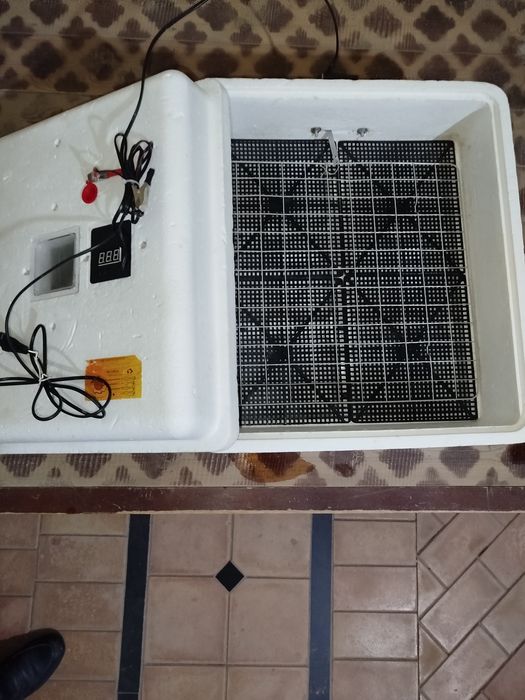 Инкубатор несушка 63