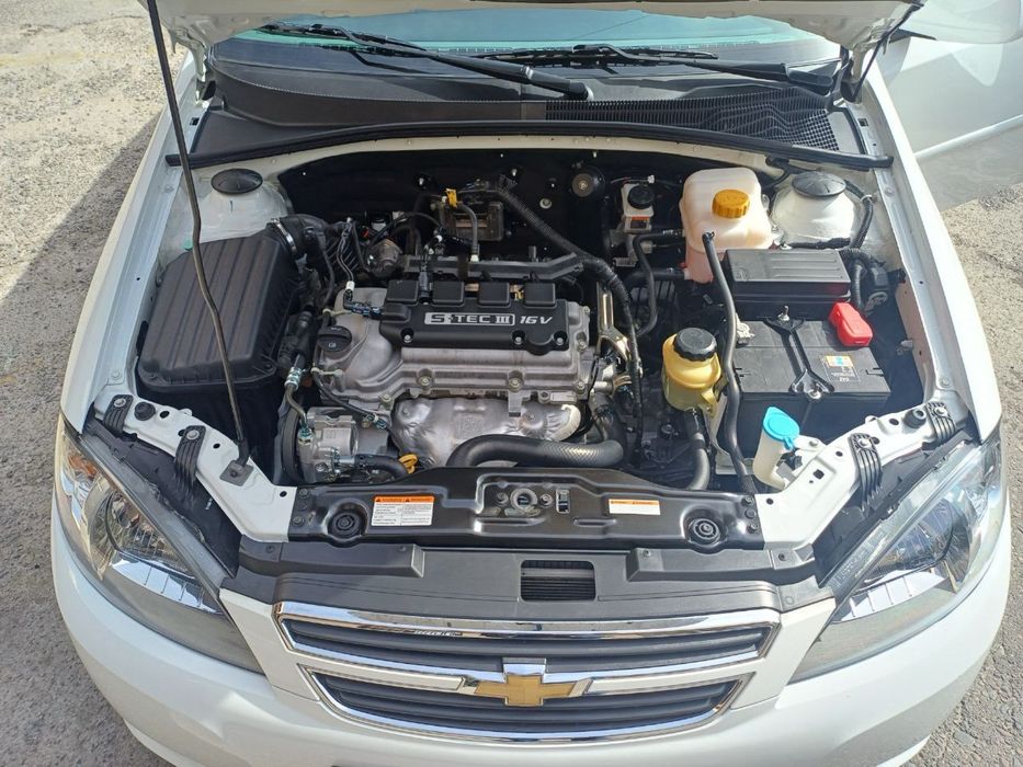 Белая ласетти жентра