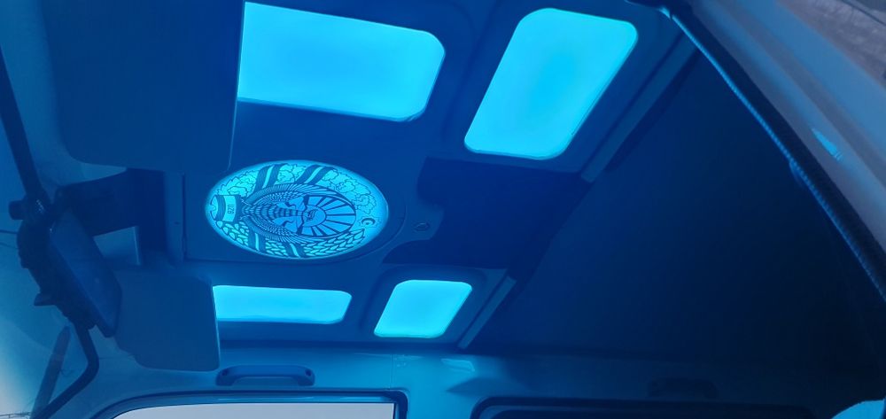 2024 yil damos radnoy navorot qilinga