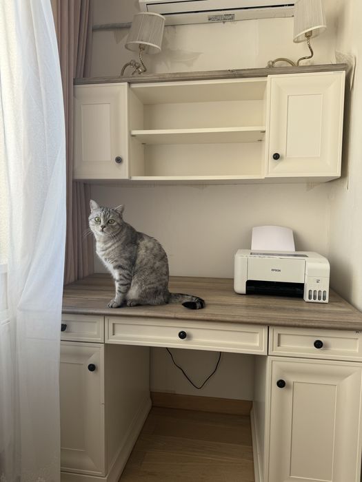 Стол примиум для комноты