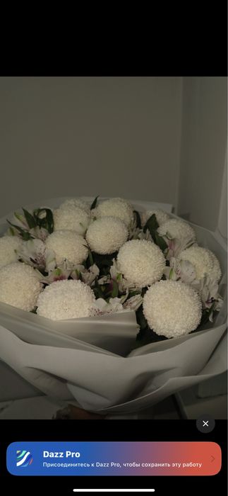 Подаю цветы срочно !