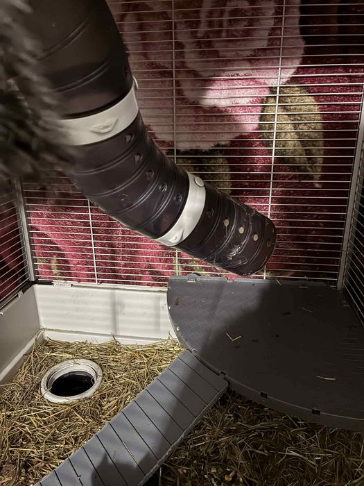 Vand sinsile toate odata sau la bucata pentru mai multe detalii sunati