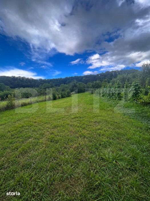 Teren intravilan, 1358 mp, strada principala, Valea Jelnei