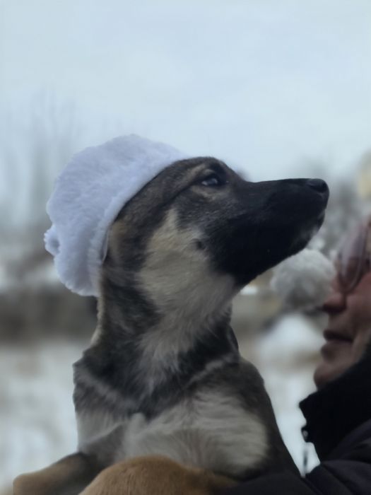 Мишелька девочка 2 месяца