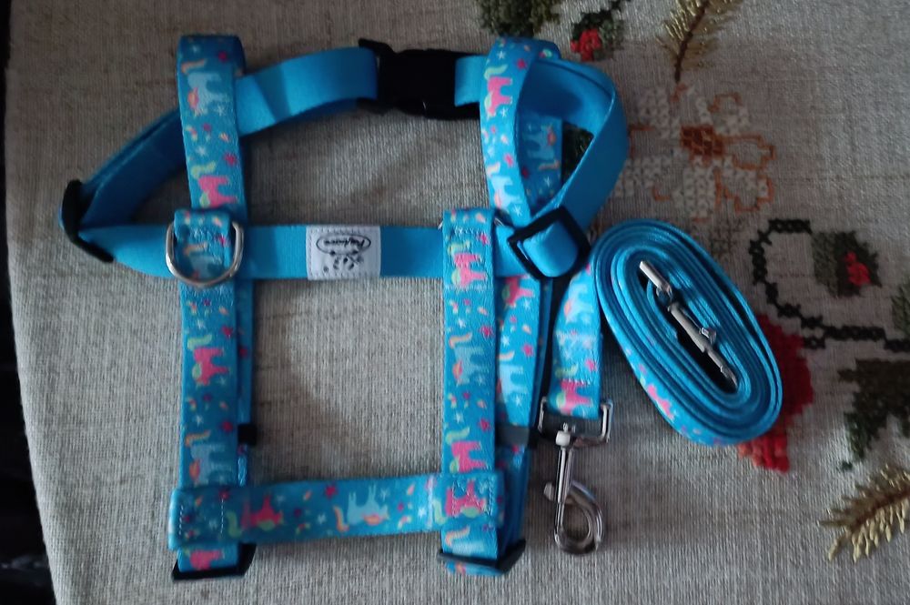 Lesa, haină,ham câine talie mare