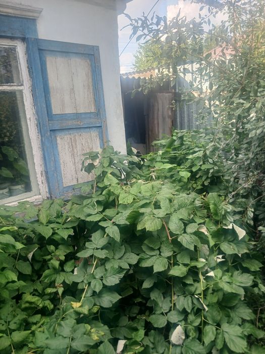 Продам дом на мирном