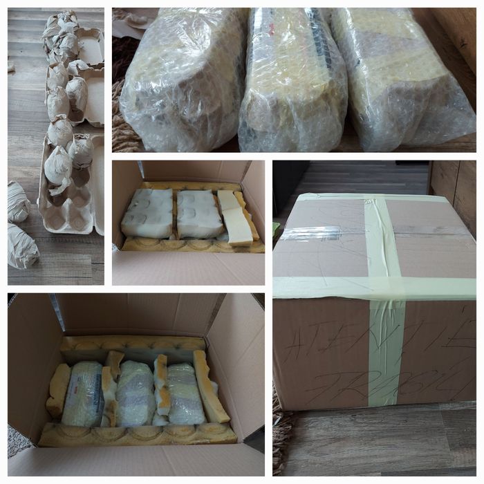 Ouă gâște chinezesti rasă pură