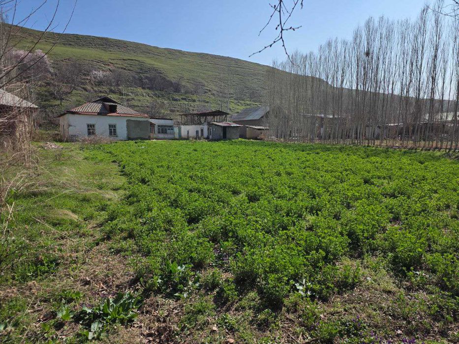 Продается дача 17 сот, Бустонлик