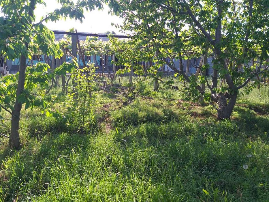 Qumtepa bozori oldida Hovli uy sotiladi