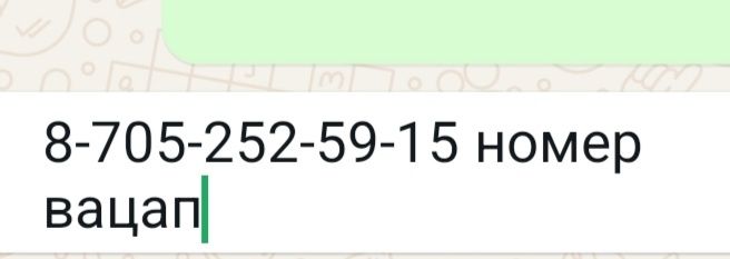 Продам Жеребеца 4 года