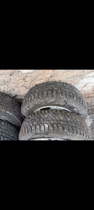 Продам шипованные шины.