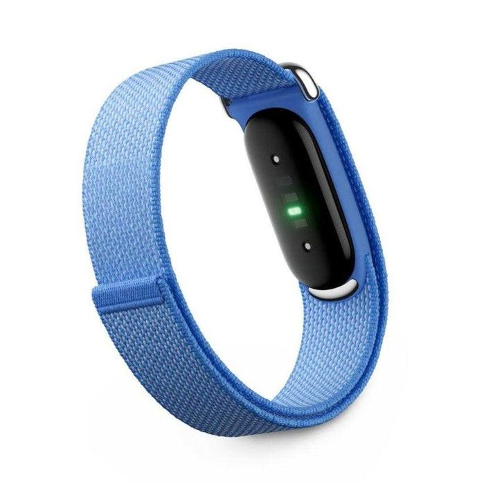 Google fitbit Air