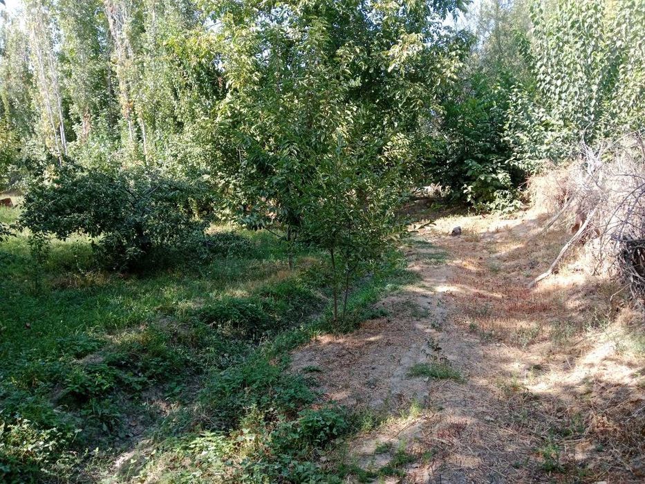 Yer sotiladi 5 sotix