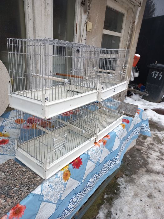 Colivii de cântec se vinde la set