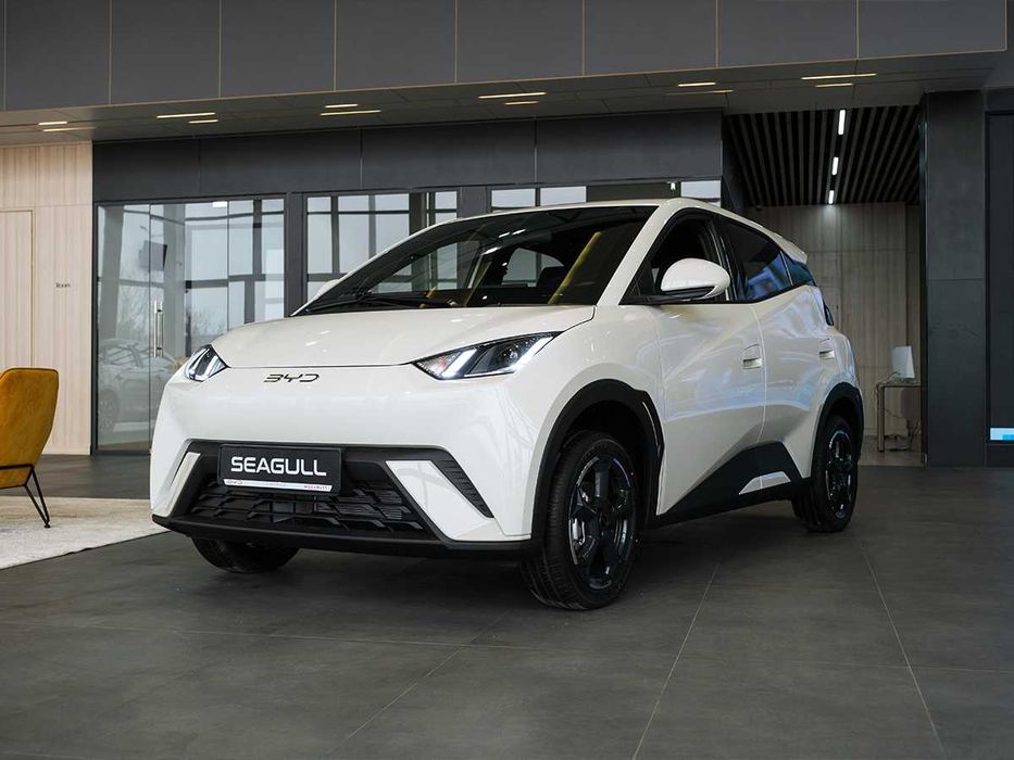 SEAGULL ( 405 KM Flying )