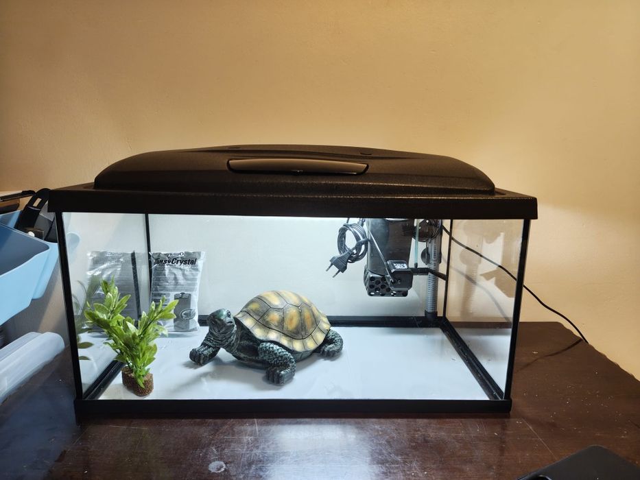 Acvariu complet,  60 cu 30 cm. Plus cadou!!!