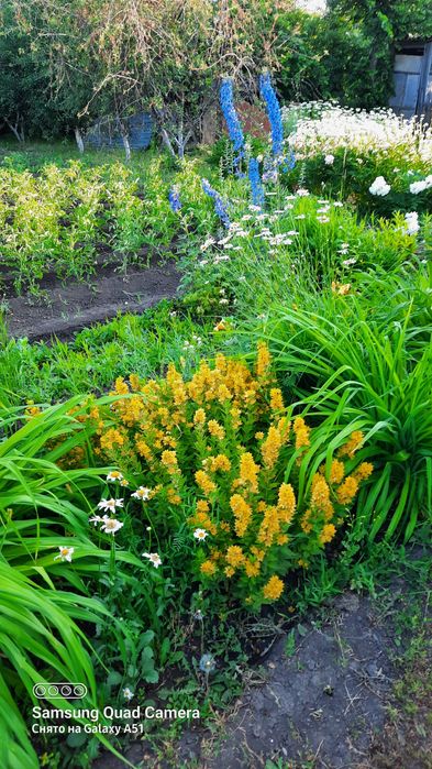 Продам дачу на 2й дачной поворот