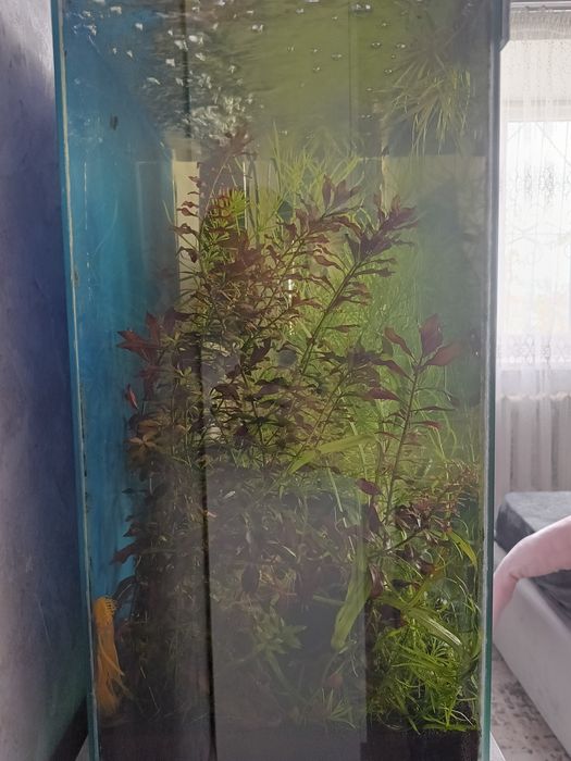 Срочно аквариум 100л