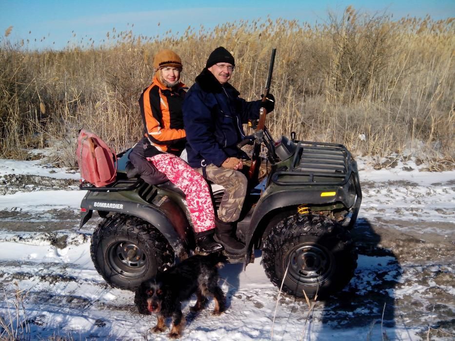 Кобелёк ищет самочку-спаниеля для вязки.