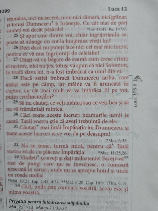 Biblia de studiu