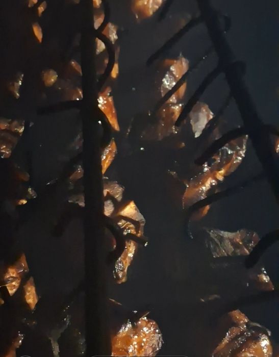 Копчение натуральное!!!