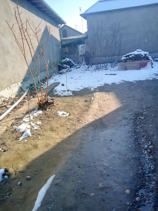 Uy  sotiladi mahallada.Maʼnaviyat mahallasi  Maxtumquli  koʻcha 62 uy