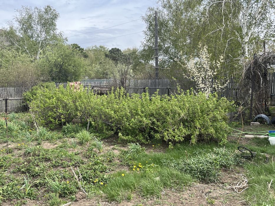 Продам дачу СПП ландешева 20