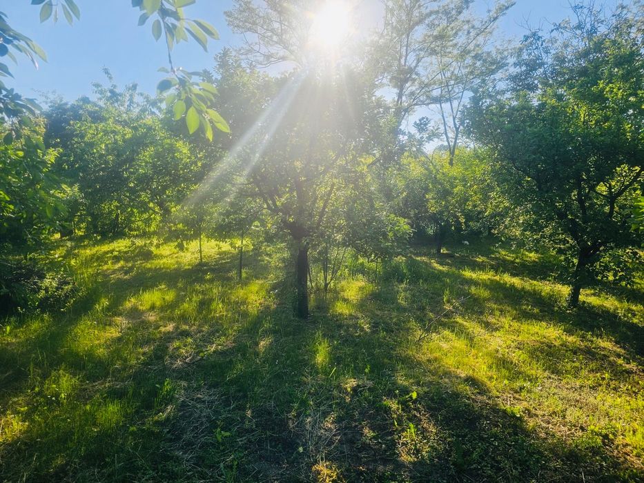 CASĂ de VÂNZARE în CĂTINA, comuna Florești, județul Prahova