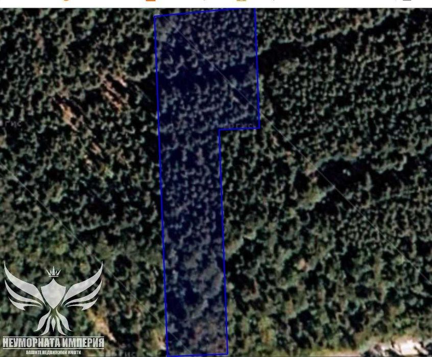 Продавам гора 6200кв. в с.Добралък,общ.Куклен,м.Богньовица