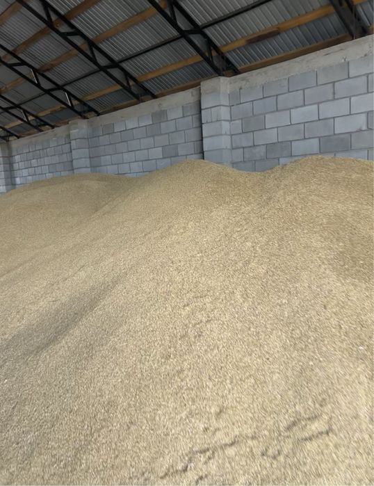 Продам ячмень 2025 года урожай