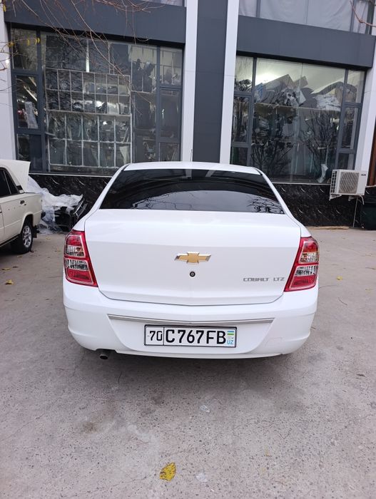 COBALT My Style MCM 2026