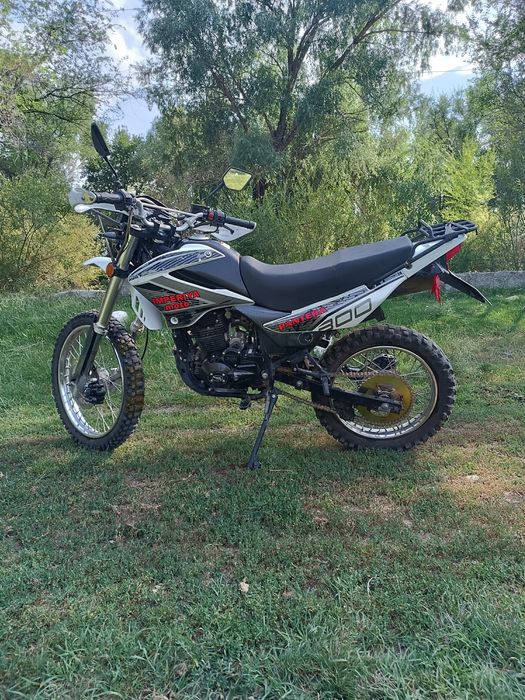 Рейсер пантера 300