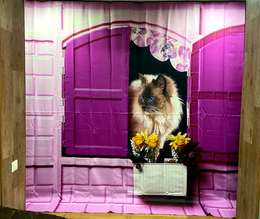 Фотошторы "Кошка"