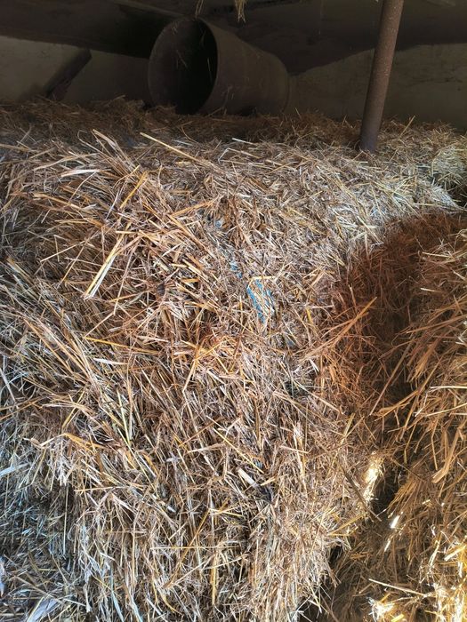 Vând baloți rotunzi