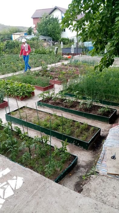 Продам дачу 12 соток