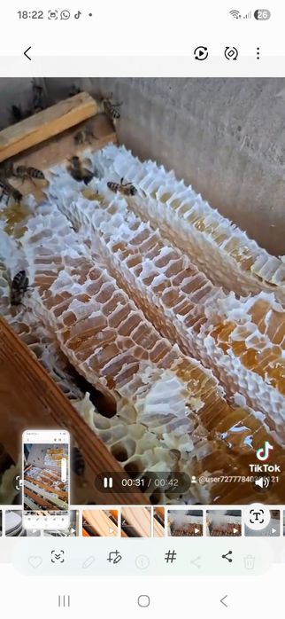 Продам пчёл рамка расплода 15 тышь