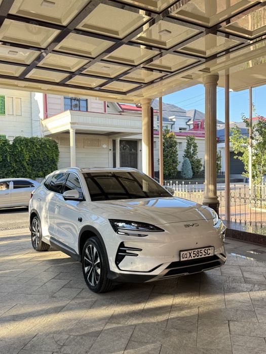 Byd chempion smart 605