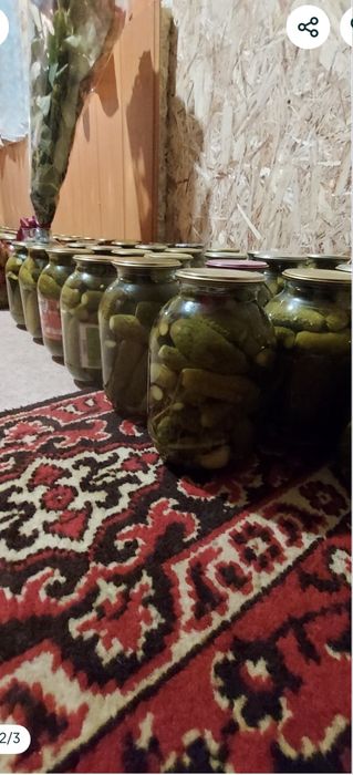 Продам маринованные огурцы